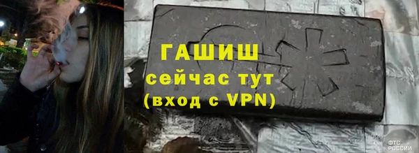 мдпв Магас
