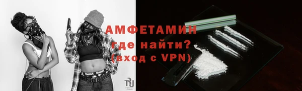 мдпв Магас